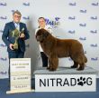 Bia-BEST-IN-SHOW