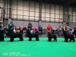 crufts2019_5